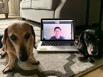 An image of a dog on the floor with an open laptop with a patient on the screen