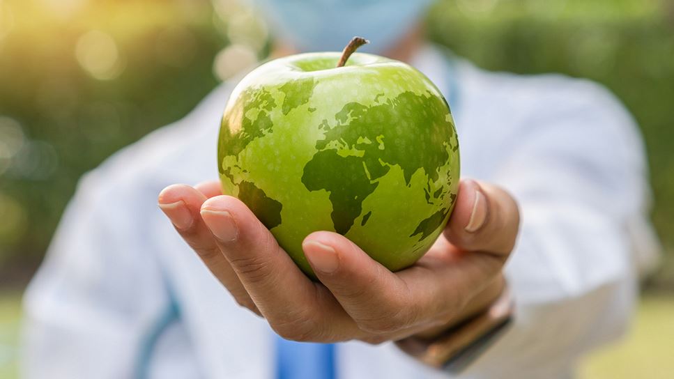 Our Members - photo of a hand holding an apple shaped like the globe