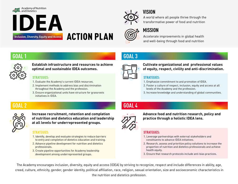 IDEA Action plan infographic
