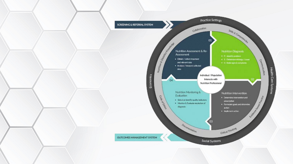 NCP Model Graphic