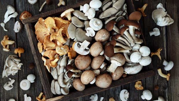 Mushrooms and Vitamin D