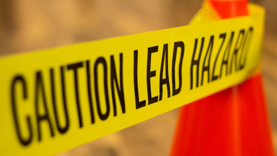  Nutrition's Role in the Prevention and Treatment of Childhood Lead Poisoning