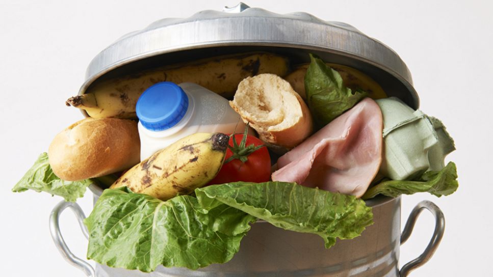 Fresh Food In Garbage Can To Illustrate Food Loss and Waste in America