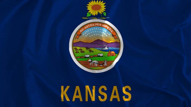 Kansas State Flag