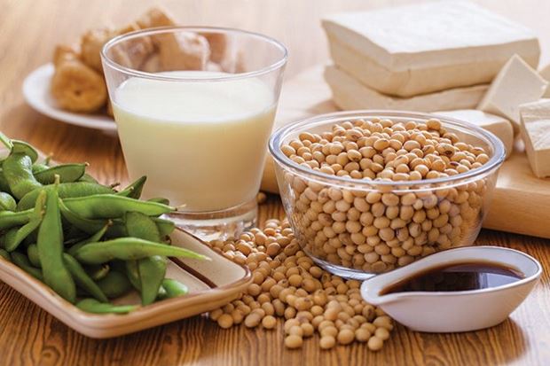 Collection of soy based products including soy beans, edamame, soy sauce, tofu and soy milk