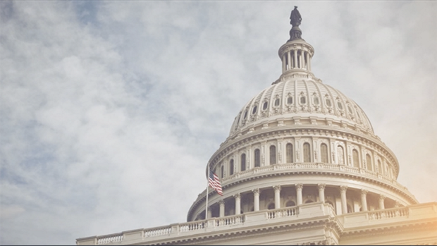 Capitol Building in Washington DC