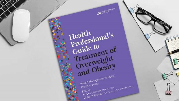Health Professional's Guide to Treatment of Overweight and Obesity lying on a desk